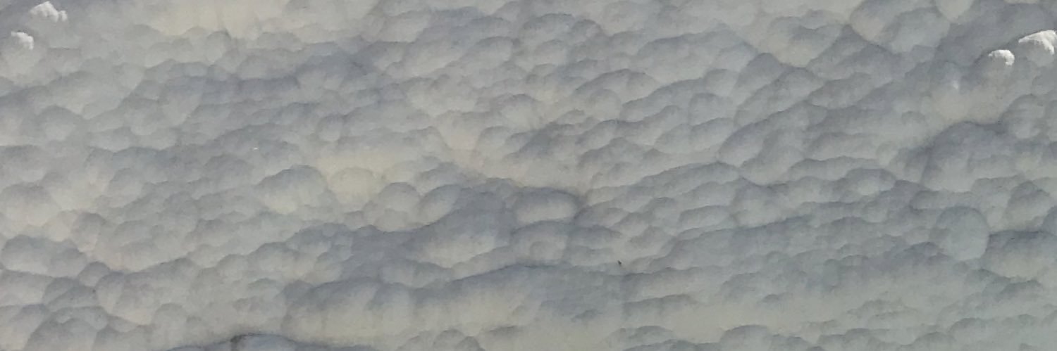 vikivika208's profile banner image