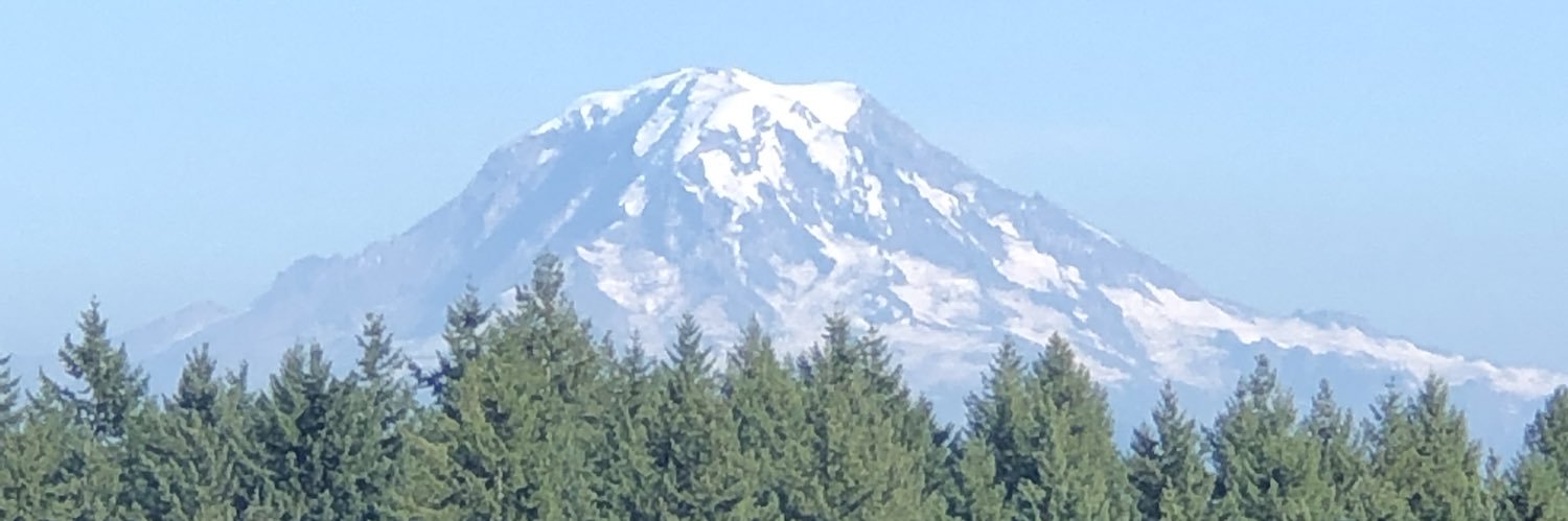 AnneStewart23's profile banner image