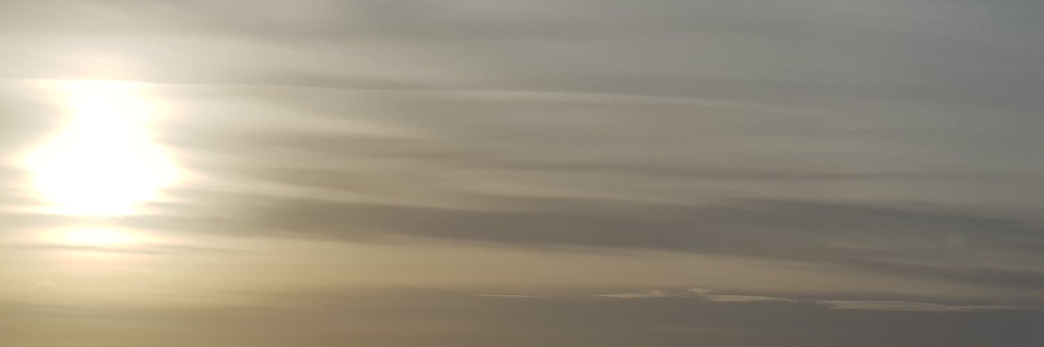 t9iee's profile banner image