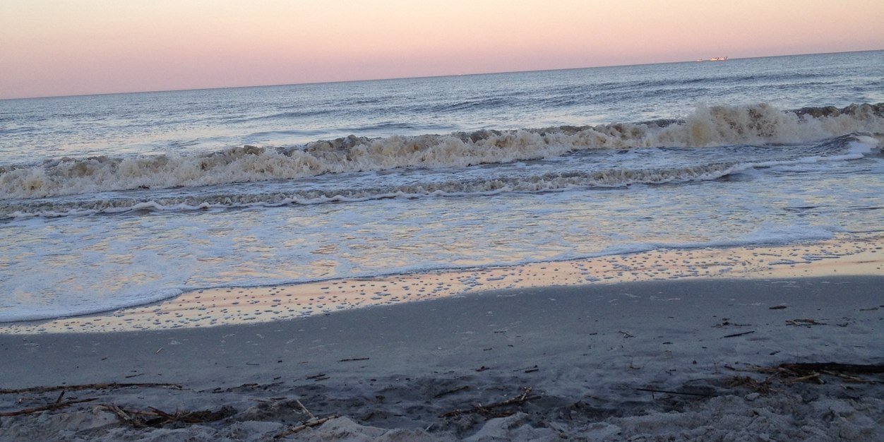 pamgriner's profile banner image