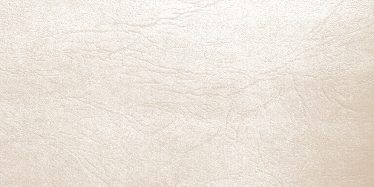 candicehnelson's profile banner image