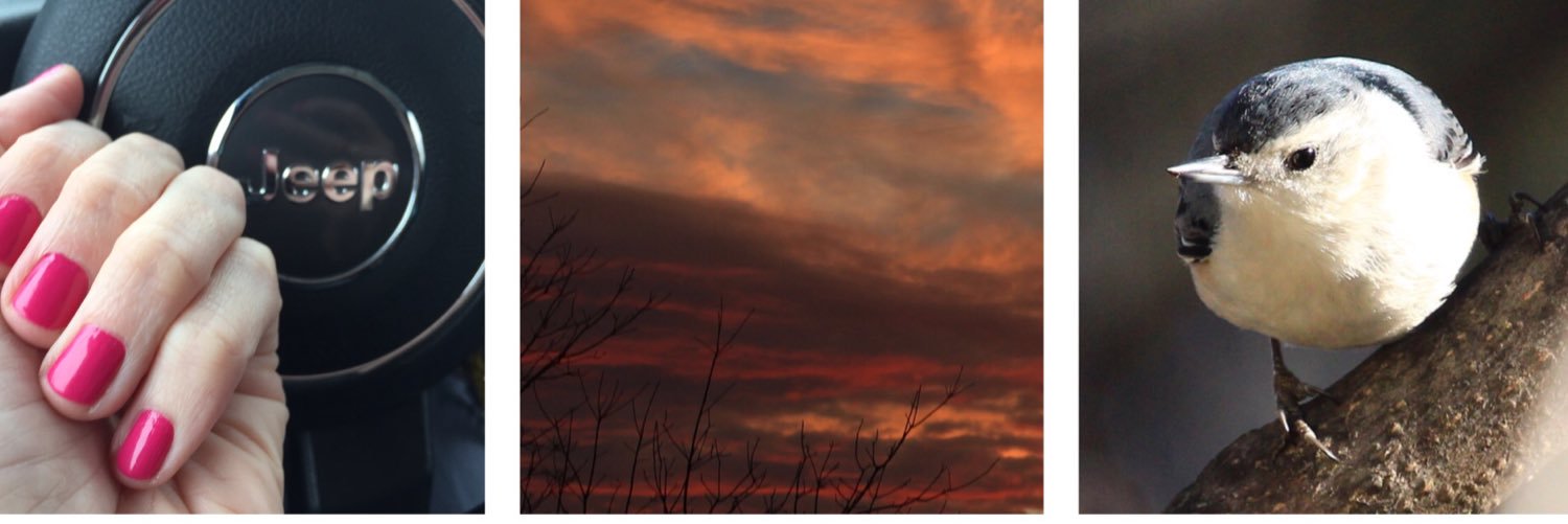 JenLRPhoto's profile banner image