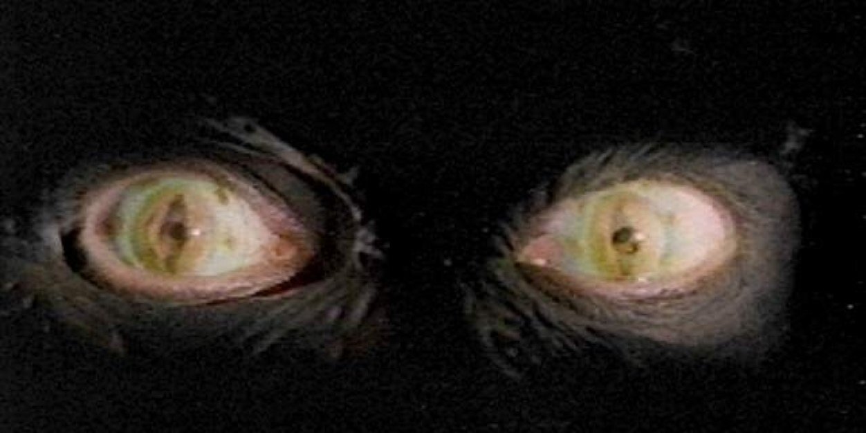 ExecutedMaster's profile banner image