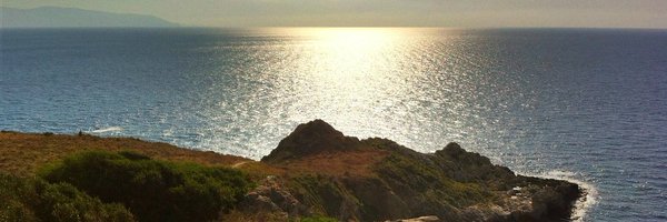 rmelogli Profile Banner