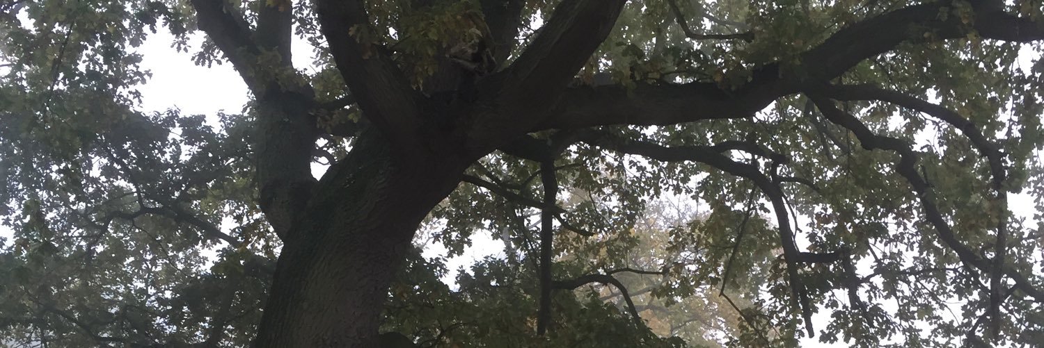RJD978's profile banner image