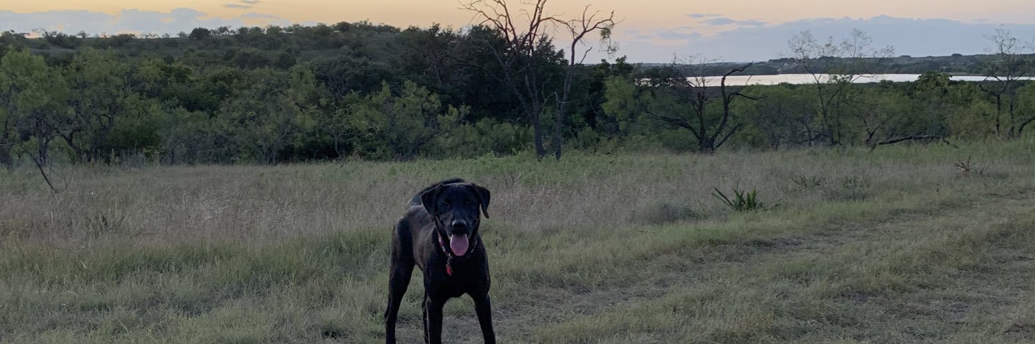 Jackson_Comer's profile banner image