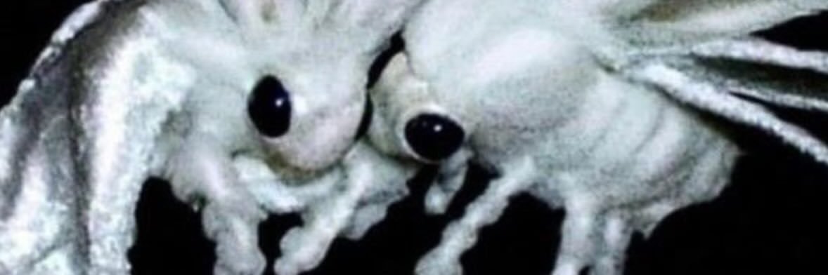 MatttroBoomin's profile banner image