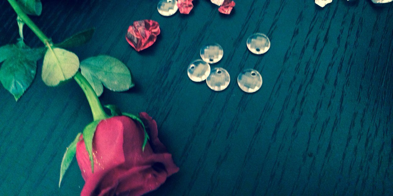 noha0_'s profile banner image