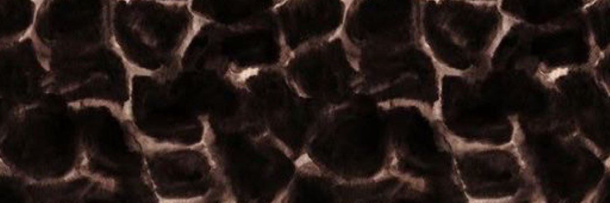 aimeesitale's profile banner image