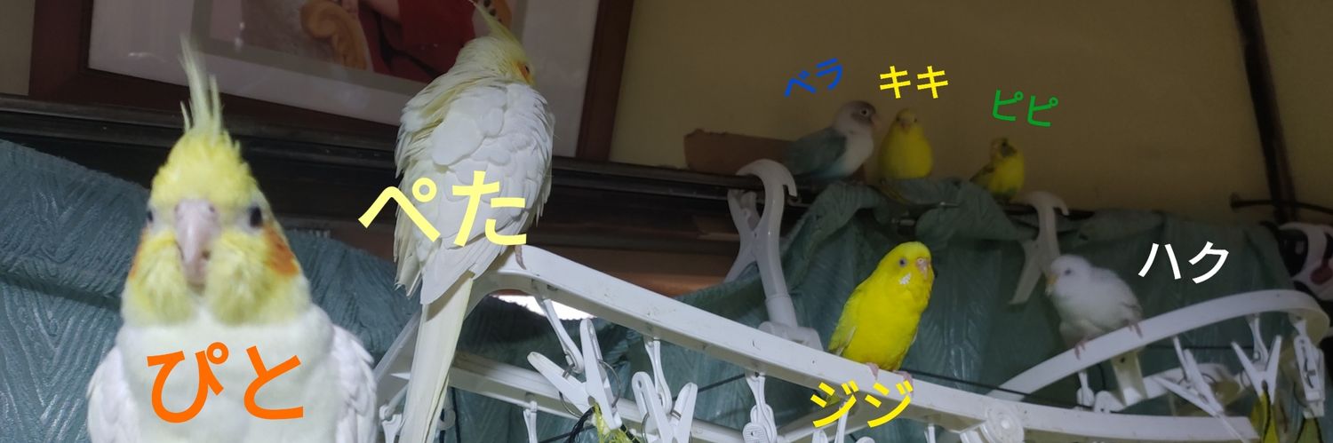 suchan_629's profile banner image