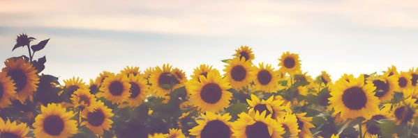 jamie_intihar's profile banner image