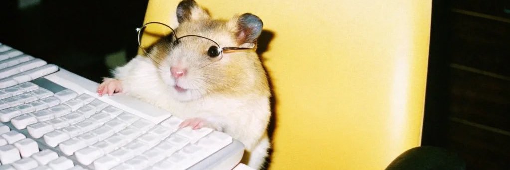 LillyLilaRaeee's profile banner image
