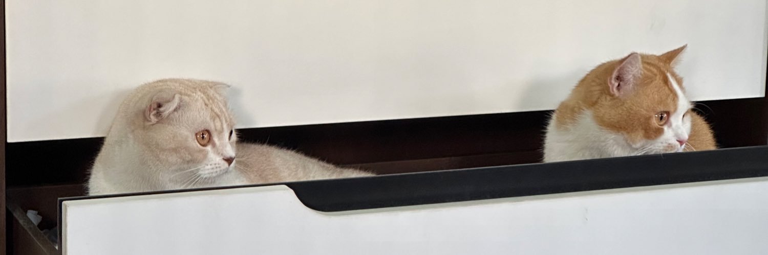 รึเอง feat. AI x Econ 🟡 banner