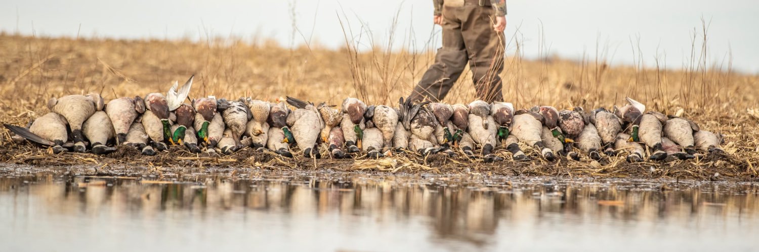 ♣️HB♣️ banner