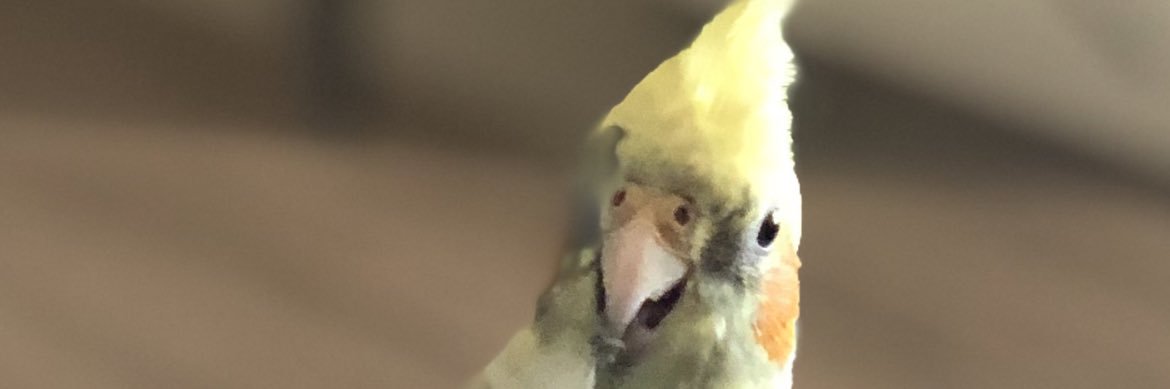 ABorklu's profile banner image