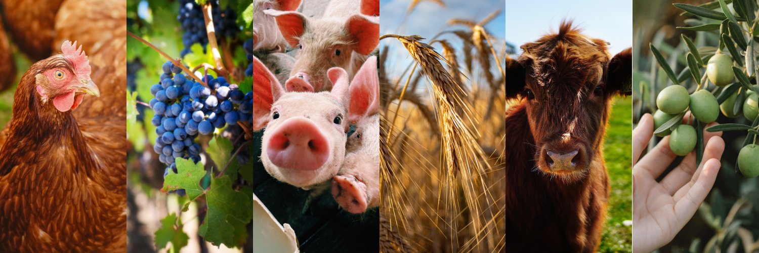 Conocer la Agricultura y la Ganadería banner