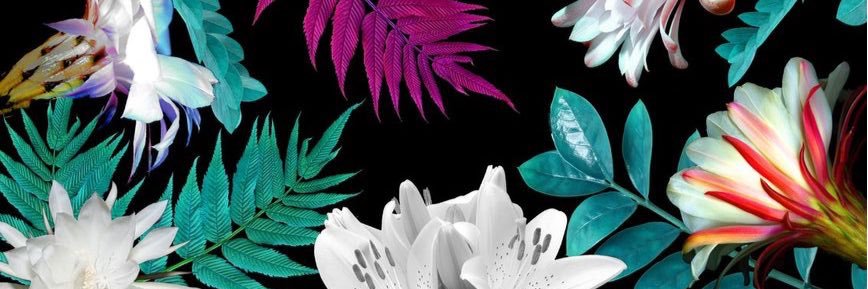 _arsie's profile banner image