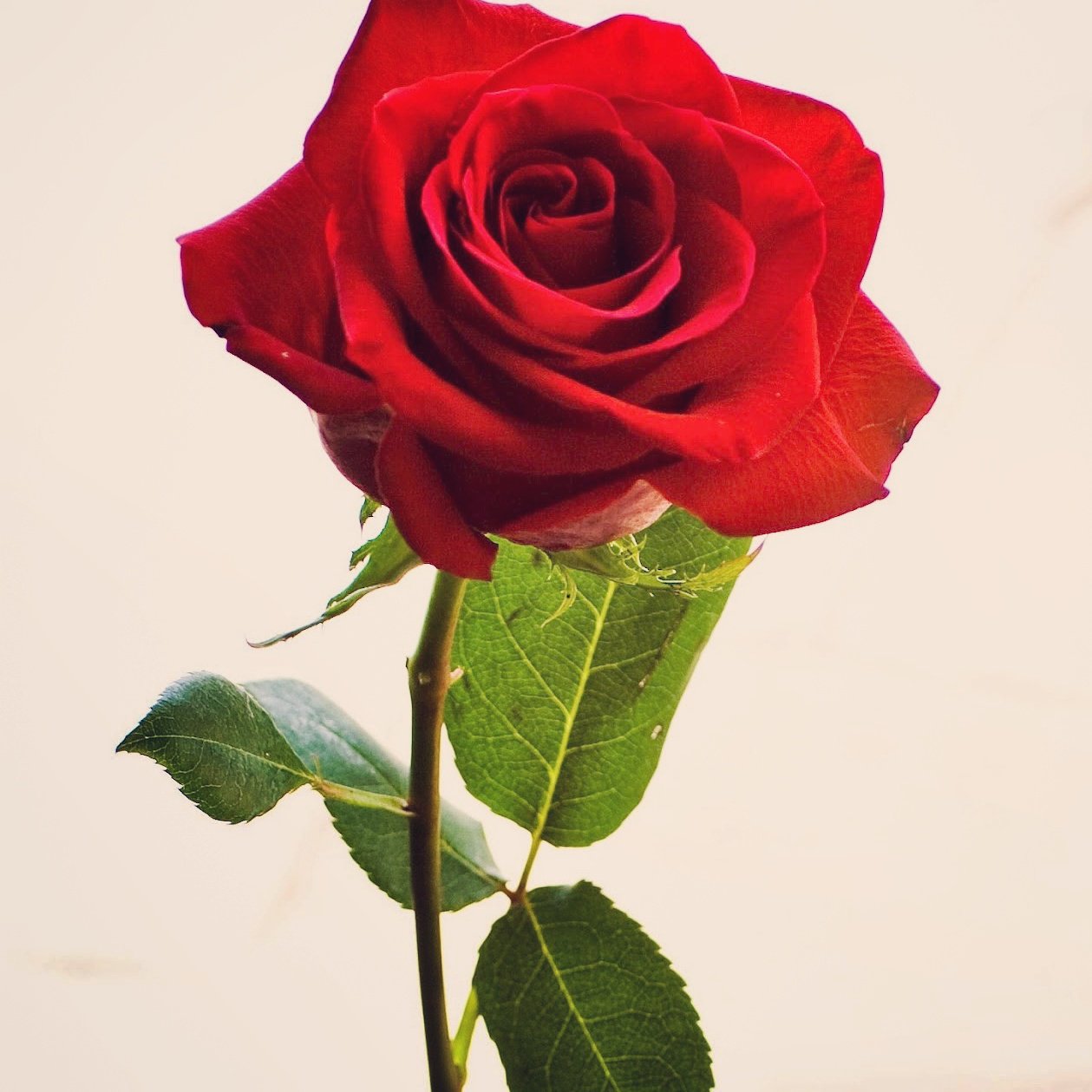 MruhulRuhul's profile banner image