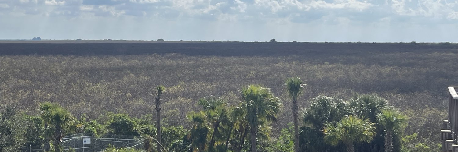 Bobby Digital banner