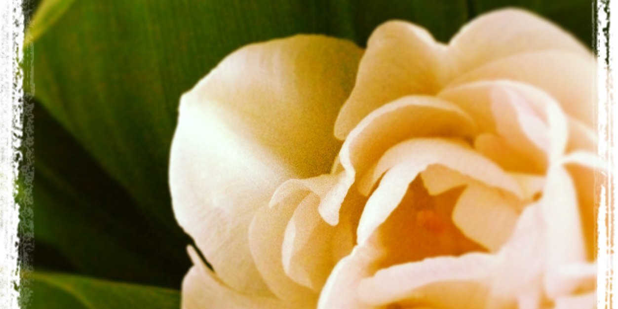LSathome's profile banner image
