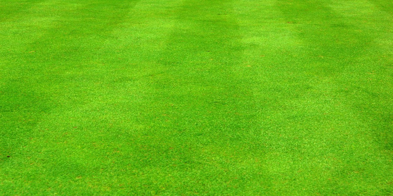 freistoss_spray's profile banner image