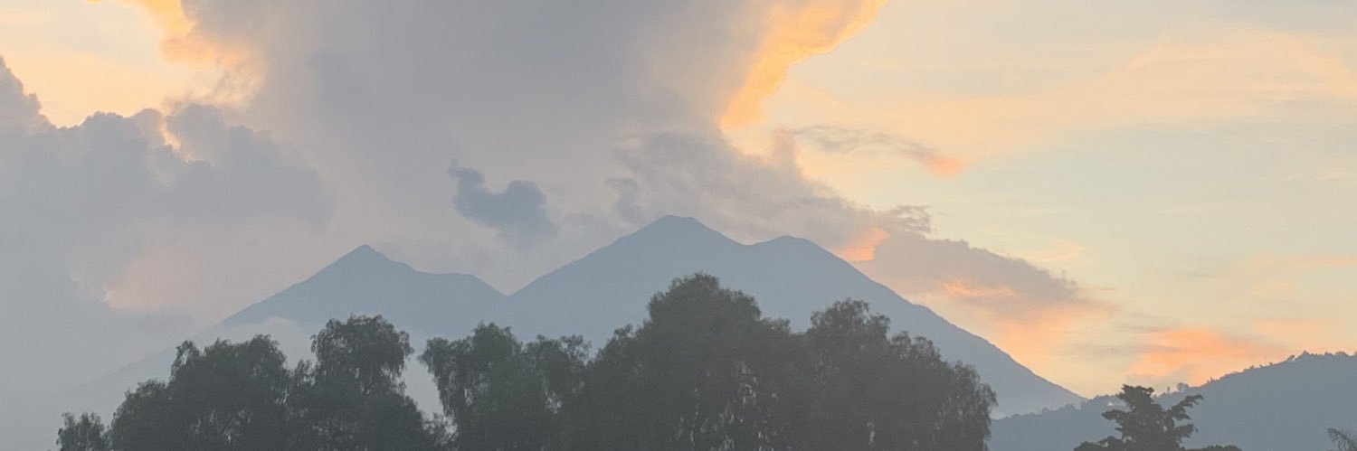 Mimsgs's profile banner image