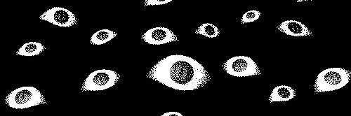 Biertzk's profile banner image