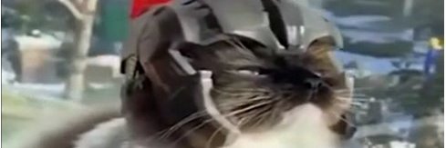 OooAww's profile banner image
