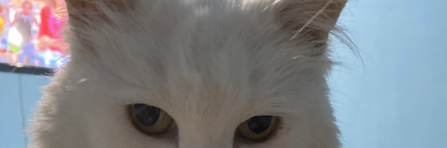 mona_saax's profile banner image