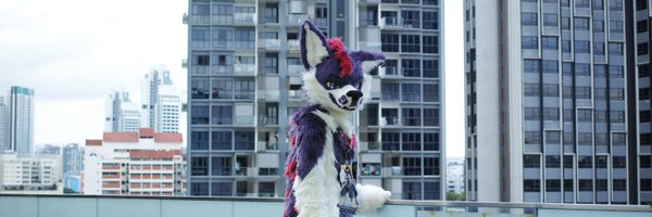 Dodecane2242 Profile Banner