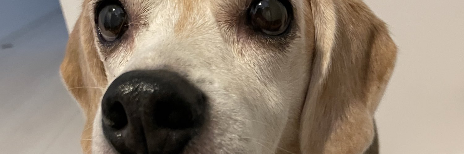 yoshie2828's profile banner image