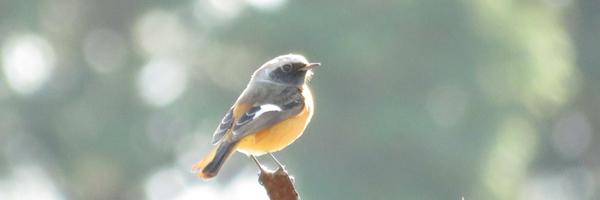 yontax Profile Banner