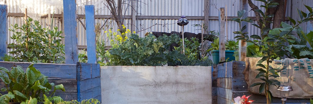 Dr Seona Candy (she/her) banner