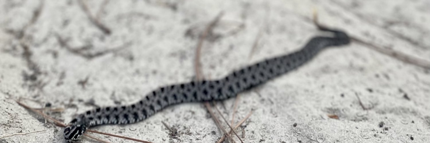 walkercoburn's profile banner image