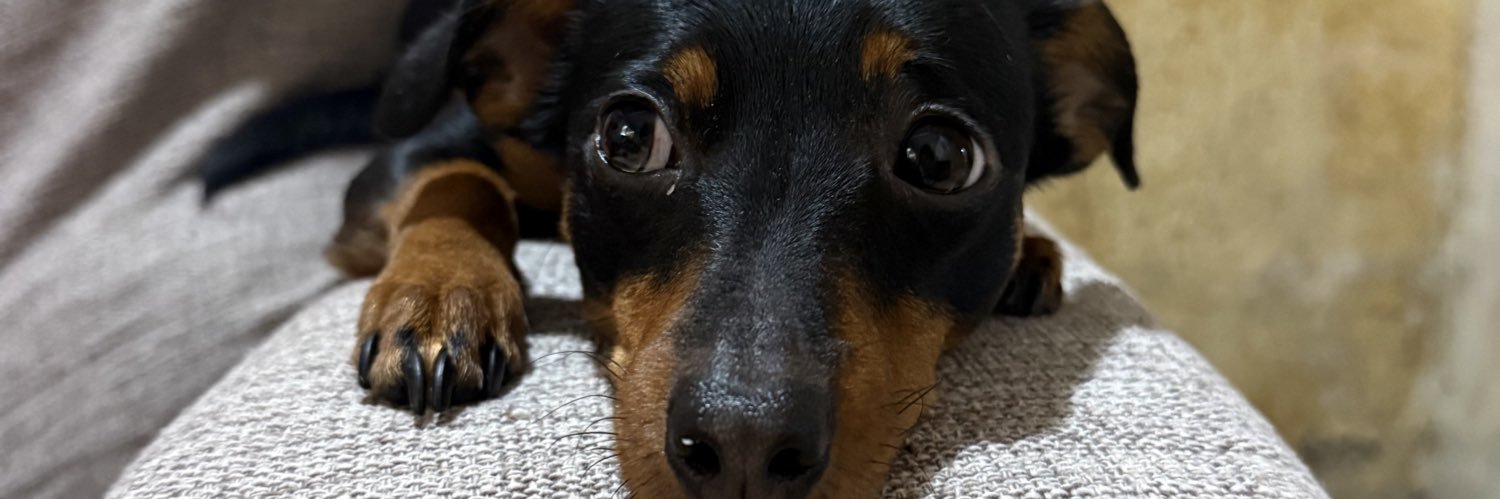 glimpseofdeh's profile banner image