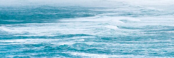 lihaobo Profile Banner