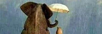 rainknk's profile banner image