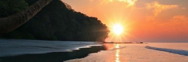 alviadim's profile banner image