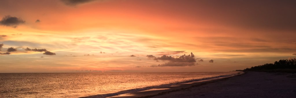 emmy561's profile banner image