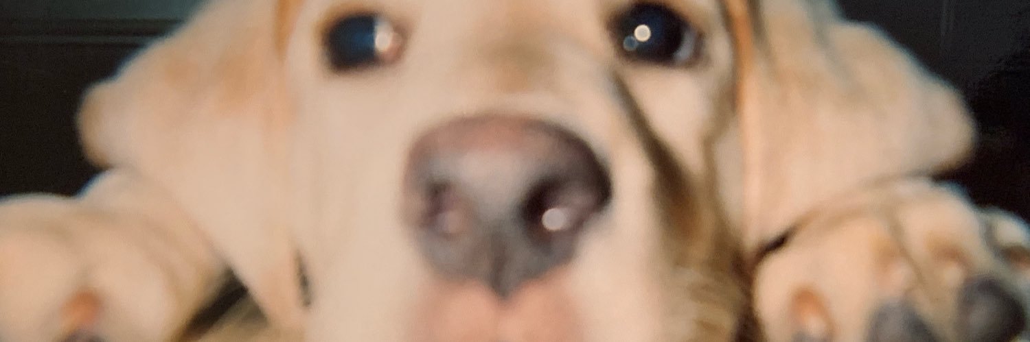 _alexmichelle_'s profile banner image
