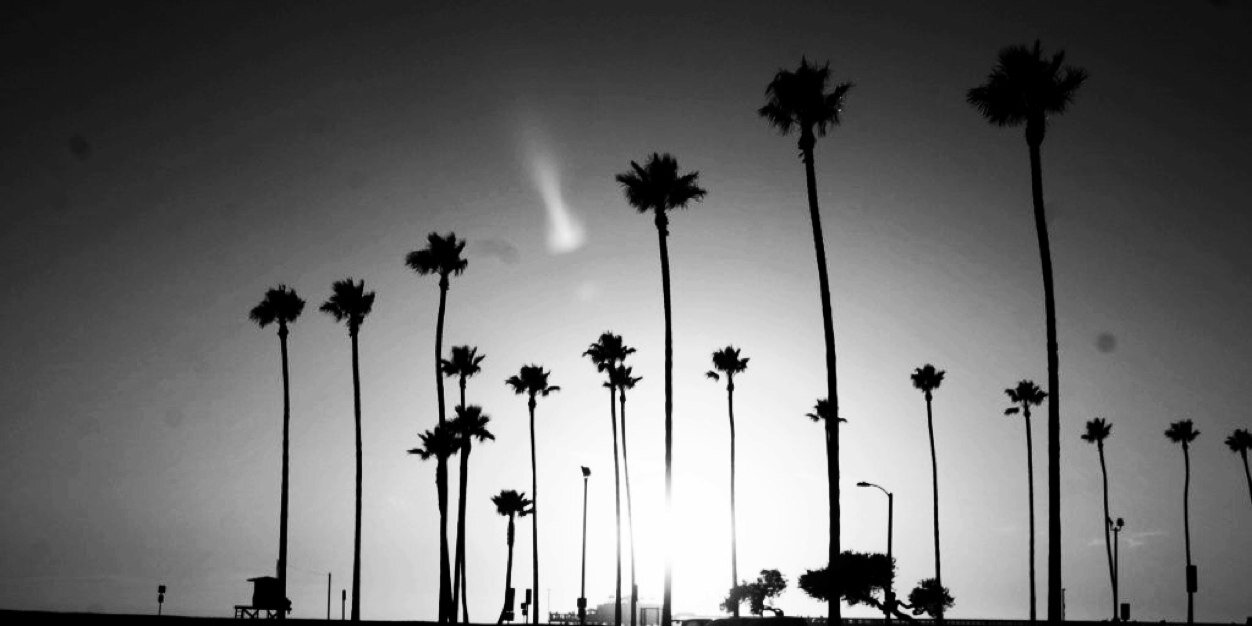 trillsinatra's profile banner image