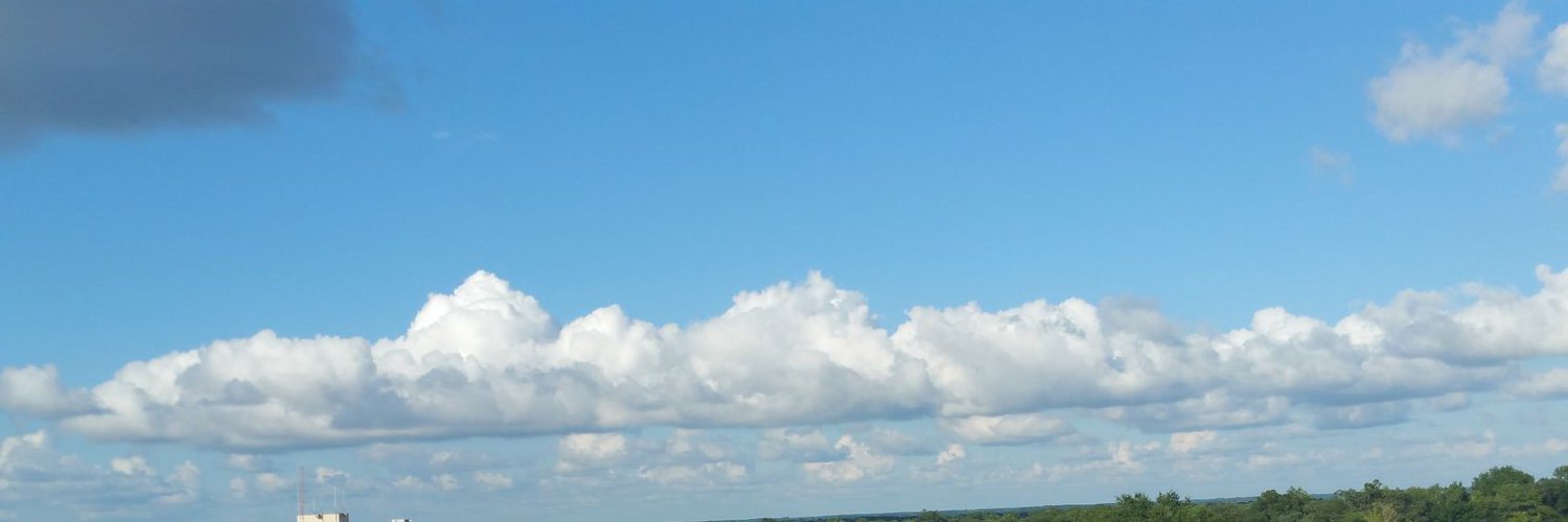 Private Citizen banner