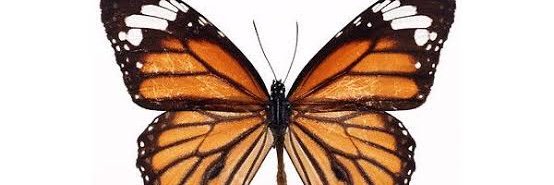 callmehuneee's profile banner image