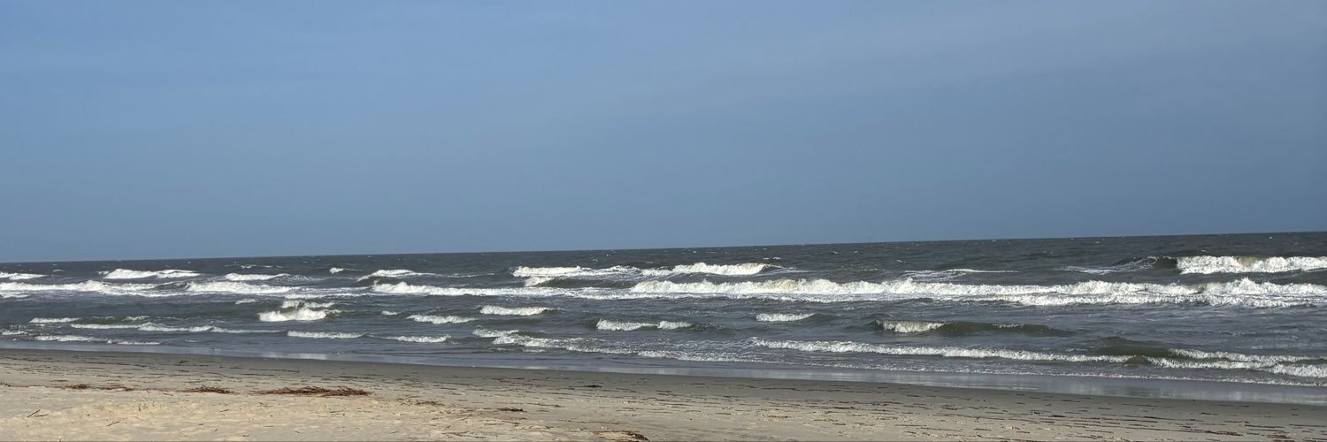 brazykt's profile banner image