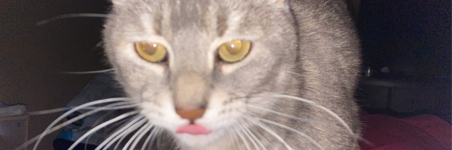 ninifabb's profile banner image