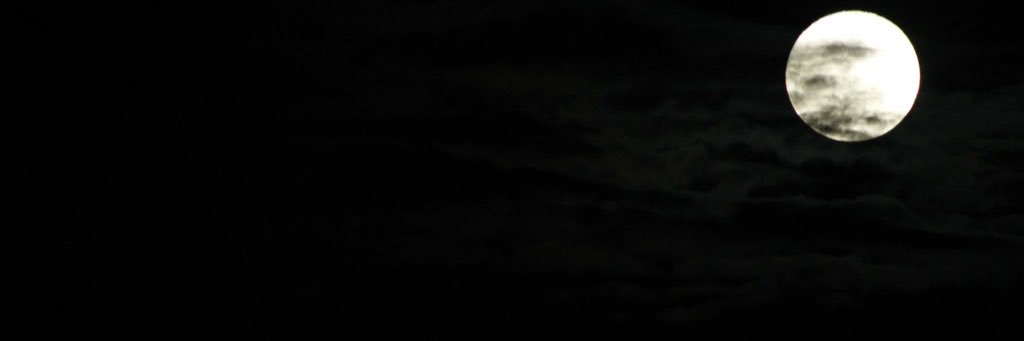 edissonaleaga's profile banner image