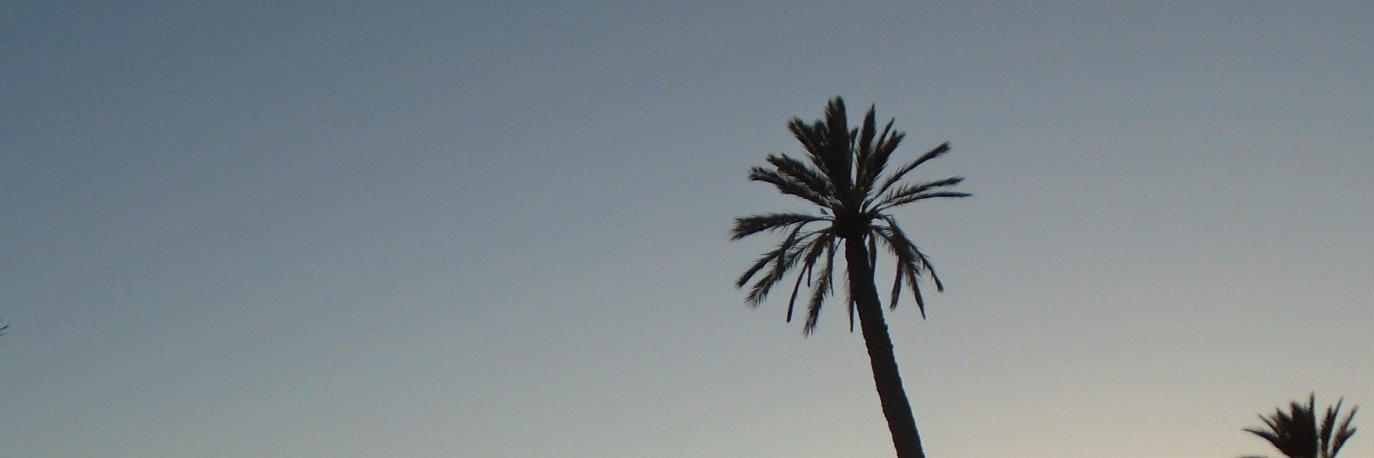 Rod__Charlot's profile banner image