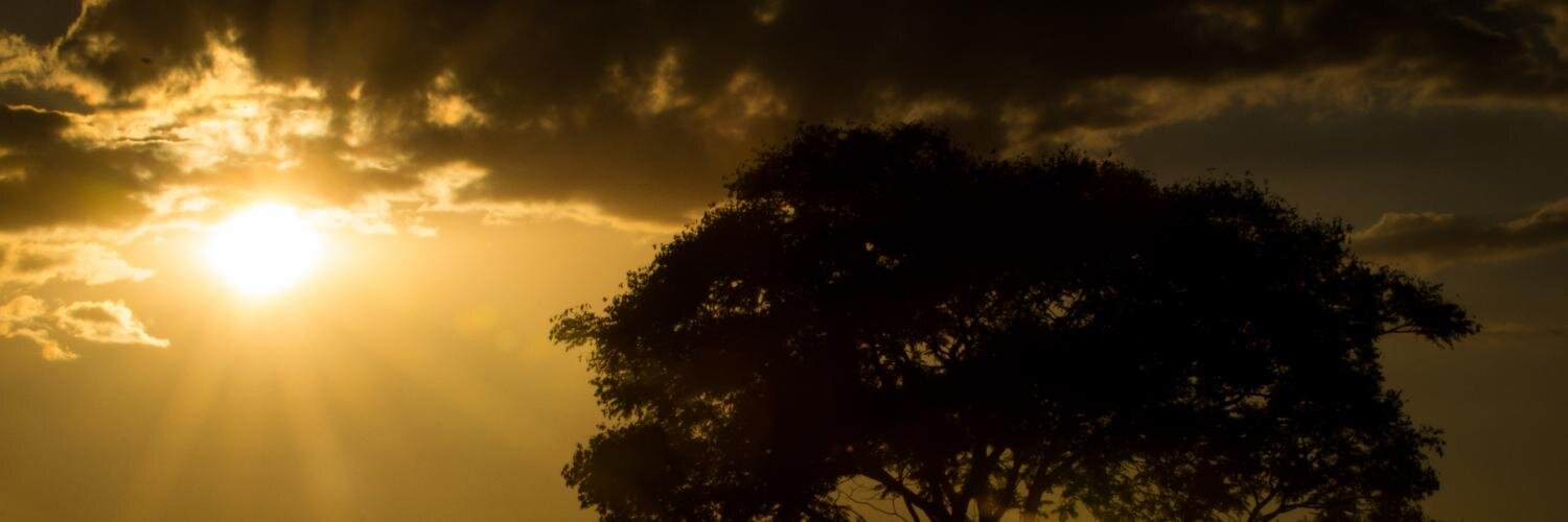 giovaniviolao's profile banner image