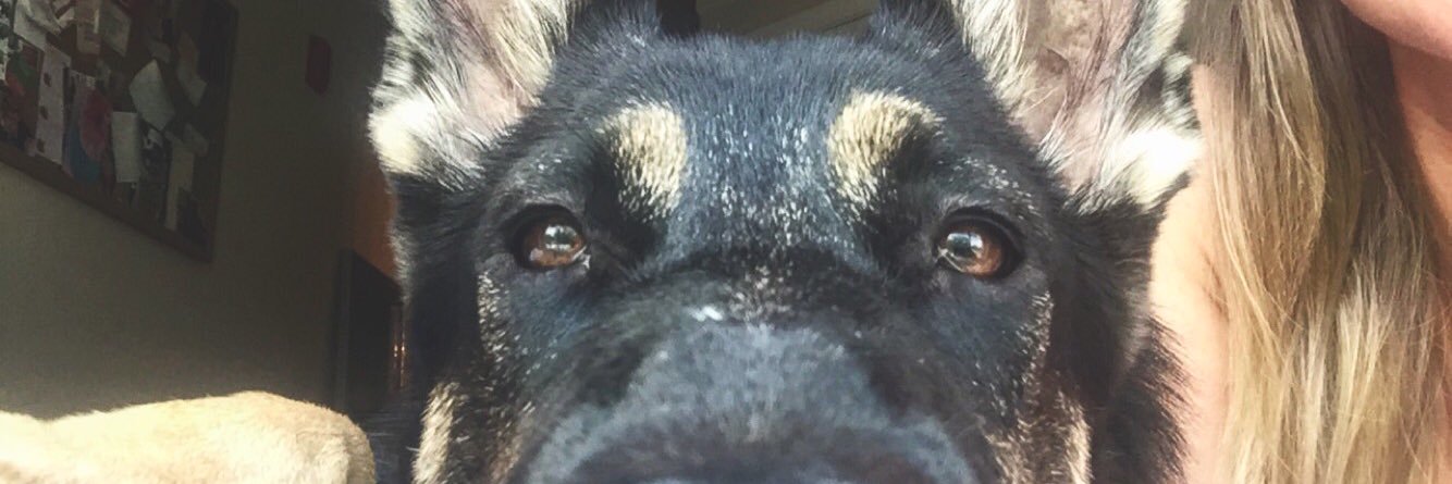 MegLoK's profile banner image