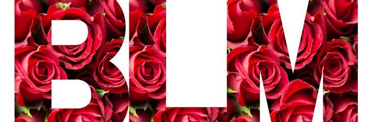 shortiefry123's profile banner image